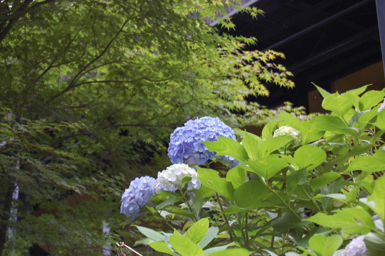 Kunihiro Yashiki Hotel Nasu Exterior foto